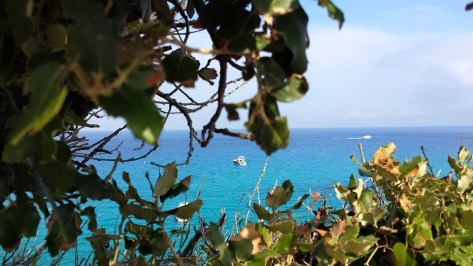 11169798_995353667153292_6383478778243566213_n