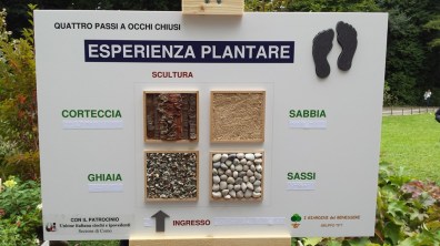 12003974_1025985060756819_9033334692649557803_n