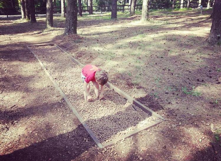 13781740_1189392237749433_8532820446125257496_n