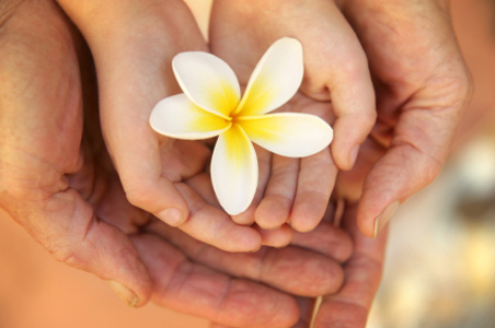 istock_000011434264hp