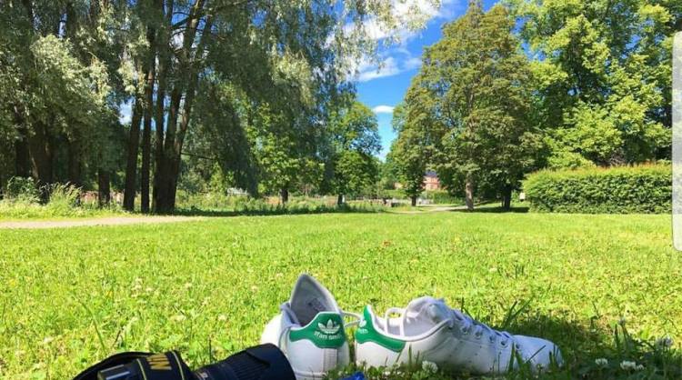 19598925_1537235046298482_1949854942292807781_n