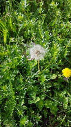 61227680_2404172329604745_5311766258906038272_n